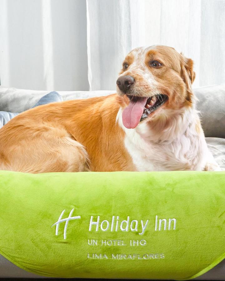 Holiday Inn - Lima Miraflores By Ihg Eksteriør bilde